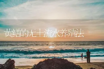 黄鳝的无土流水养殖法