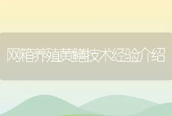 网箱养殖黄鳝技术经验介绍