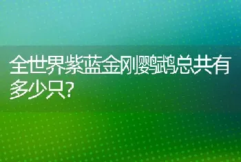 全世界紫蓝金刚鹦鹉总共有多少只？