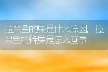 拉黑色的屎是什么原因，拉黑色的稀屎是怎么回事