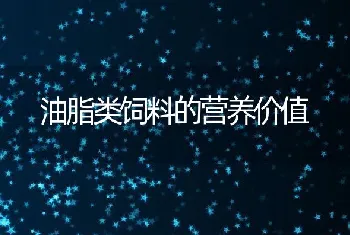 油脂类饲料的营养价值