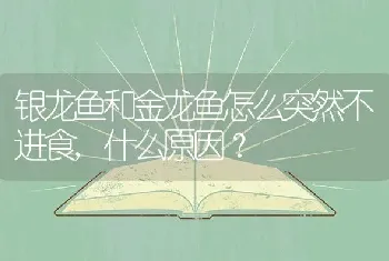 银龙鱼和金龙鱼怎么突然不进食,什么原因？