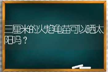 三厘米的火焰龟苗可以晒太阳吗？