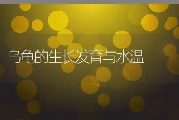 乌龟的生长发育与水温