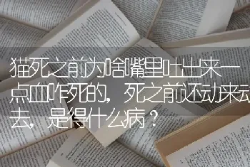 为什么农村能养国家三级保护动物狸猫？