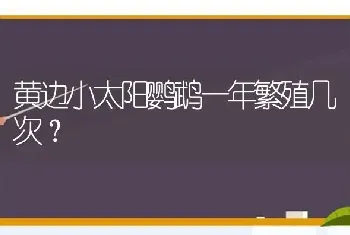 阿拉斯加阿拉三个月以后可以一天一个蛋黄？