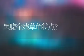 黑腹金线草龟特点？