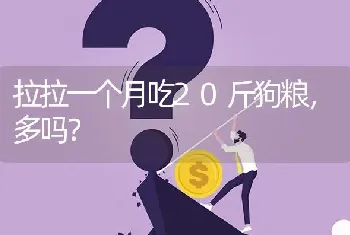 拉拉一个月吃20斤狗粮，多吗？