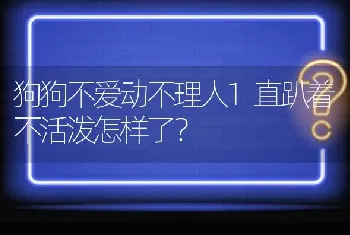 狗狗不爱动不理人1直趴着不活泼怎样了？