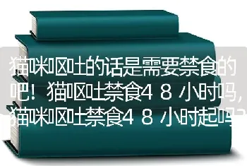 猫咪呕吐的话是需要禁食的吧！猫呕吐禁食48小时吗，猫咪呕吐禁食48小时起吗？那么久的吗？