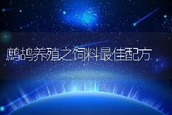 鹧鸪养殖之饲料最佳配方