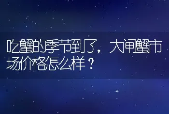 吃蟹的季节到了，大闸蟹市场价格怎么样？