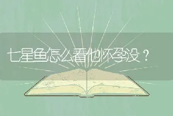 七星鱼怎么看他怀孕没？