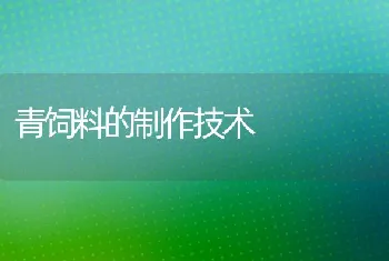 青饲料的制作技术
