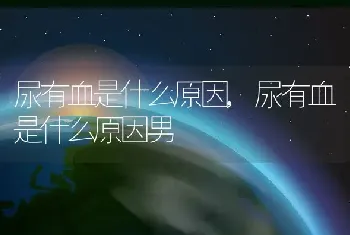 尿有血是什么原因，尿有血是什么原因男