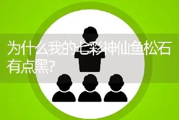 为什么我的七彩神仙鱼松石有点黑？