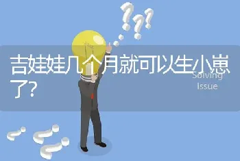 吉娃娃几个月就可以生小崽了？