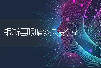 银渐层眼睛多久变色？