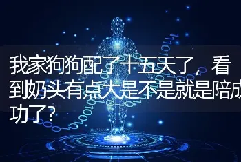 我家狗狗配了十五天了，看到奶头有点大是不是就是陪成功了？