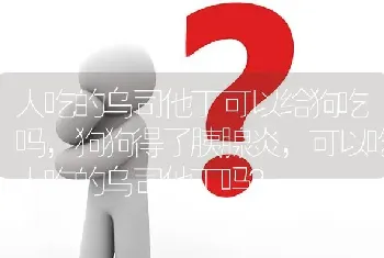 人吃的乌司他丁可以给狗吃吗，狗狗得了胰腺炎，可以吃人吃的乌司他丁吗？