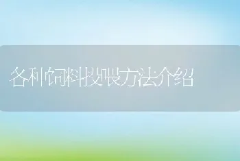 各种饲料投喂方法介绍