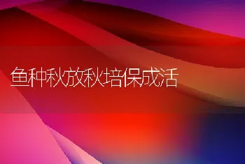 鱼种秋放秋培保成活