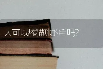 人可以舔猫咪的毛吗？