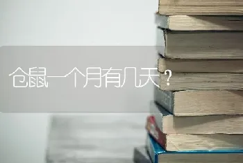 宠物狗名字独特小众？