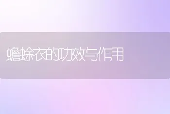 蟾蜍衣的功效与作用