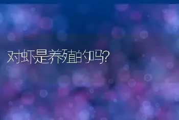 对虾是养殖的吗？