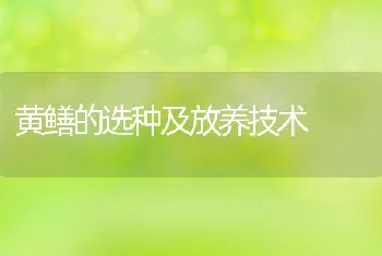 黄鳝的选种及放养技术