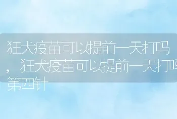 狂犬疫苗可以提前一天打吗，狂犬疫苗可以提前一天打吗第四针