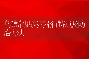 乌鳢常见疾病流行特点及防治方法