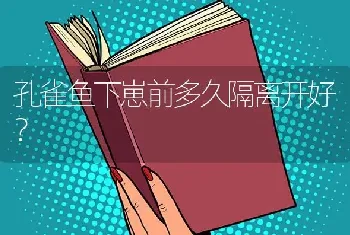 孔雀鱼下崽前多久隔离开好？