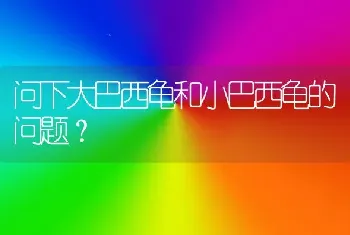 问下大巴西龟和小巴西龟的问题？