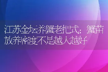 江苏金坛养蟹老把式：蟹苗放养密度不是越大越好