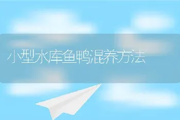 小型水库鱼鸭混养方法