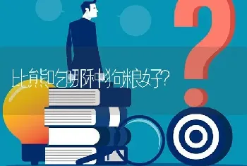 比熊吃哪种狗粮好？