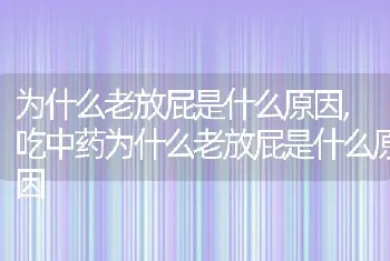 为什么老放屁是什么原因，吃中药为什么老放屁是什么原因