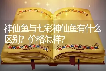 神仙鱼与七彩神仙鱼有什么区别？价格怎样？