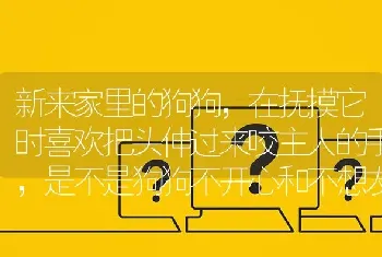 新来家里的狗狗，在抚摸它时喜欢把头伸过来咬主人的手，是不是狗狗不开心和不想友好的表示呢？