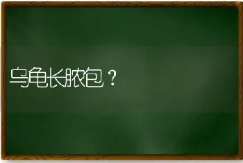 乌龟长脓包？