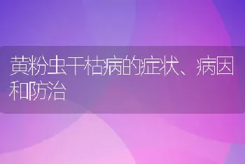 黄粉虫干枯病的症状、病因和防治