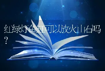 红绿灯鱼缸可以放火山石吗？