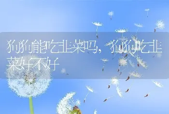 狗狗能吃韭菜吗，狗狗吃韭菜好不好