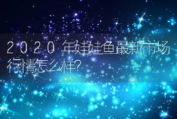 2020年娃娃鱼最新市场行情怎么样？