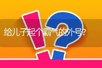 给儿子起个霸气的外号？