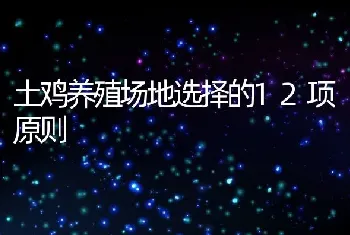 土鸡养殖场地选择的12项原则