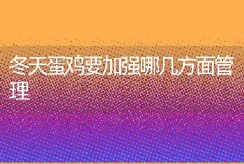 夏季养殖乌龟的注意事项