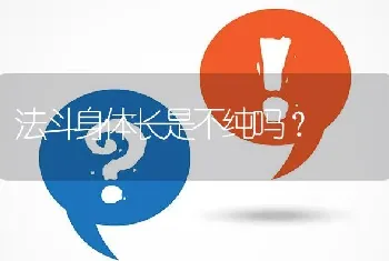 法斗身体长是不纯吗？